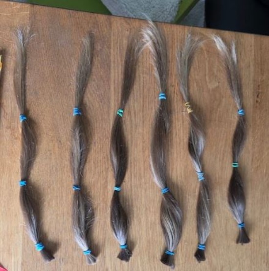 Hair Donation to Charity